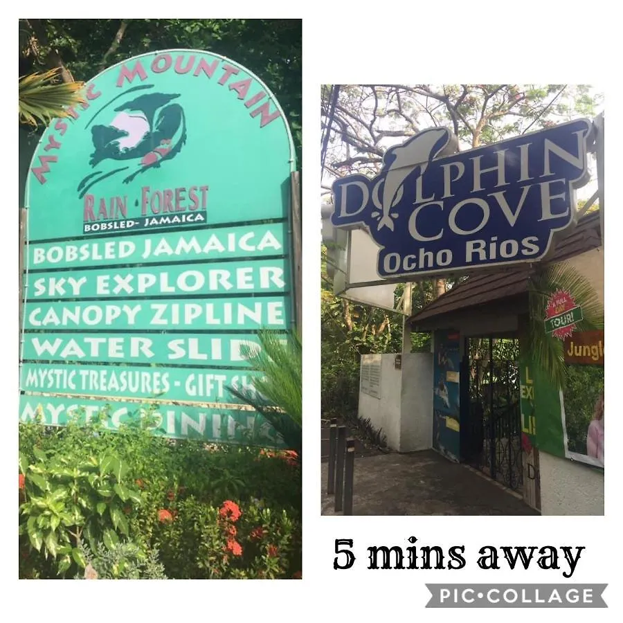 Mystic Ridge Paradise Ocho Rios Jamaica